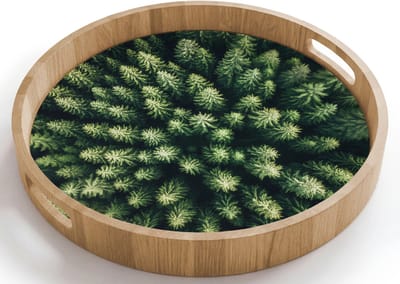 Dienblad rond 40x40 cm - Schootdienblad hout - Bomen - Naaldwoud - Structuur - Borrelplank rechthoek - Plateau houten dienbladen