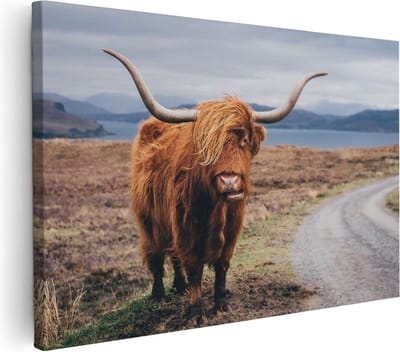Artaza Canvas Schilderij Hooglander - 30x20 cm - Klein - Muurdecoratie Schotse Hooglander - Wanddecoratie Dieren - Kamer Accessoires
