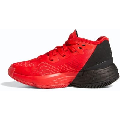 Kinderbasketbalschoenen adidas D.O.N.