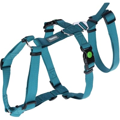 Kerbl Miami Hondenharnas Blauw 20 mm x 48-70 cm