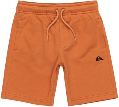 Quiksilver Easy Day Korte Sportbroek Oranje 3 Years Jongen
