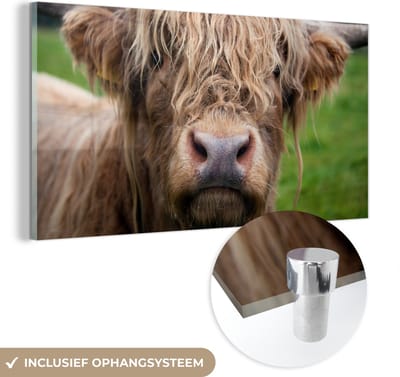 MuchoWow® Glasschilderij 40x20 cm - Schilderij acrylglas - Schotse Hooglander - Gras - Bos - Foto op glas - Schilderijen