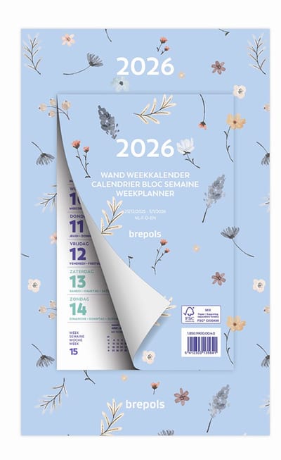 Brepols Wand-weekkalender 2026 - FANTASY - Week begint op maandag - 19 x 31 cm - Blauw