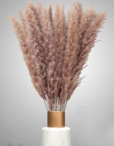 Gedroogd Pampasgras 30 Stuks - Bruin - Decoratieve Droogbloemen voor Woonkamer en Slaapkamer - 70-75 cm