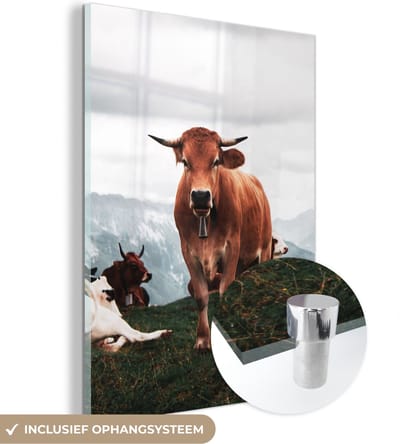 MuchoWow® Glasschilderij 30x40 cm - Schilderij acrylglas - Dieren - Koe - Berg - Foto op glas - Schilderijen