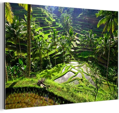 Aluminium schilderij 180x120 cm - Wanddecoratie metaal - Spectaculaire rijstvelden ten noorden van Ubud - Metalen muurdecoratie woonkamer - Decoratie industrieel - Foto op dibond - Industriële accessoires slaapkamer