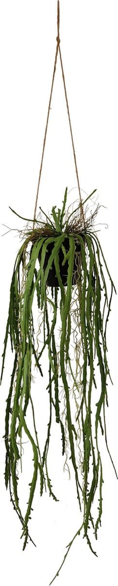 Kunst Hangplant Aloë | 95cm - Plant met pot - Namaak hangplant Aloë - Kunstplanten voor binnen - Kunst hangplant aloë