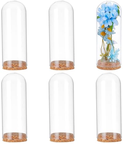 Dailygoods- Glazen Pot - Decoratieve Koepelvormige Pot - 6 Stuks - Kurkbasis - Voorraadpot - Voor Bewaren van Bloemen - Afmeting 12 x 4,7 cm