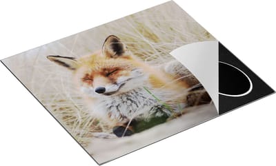 Chefcare Inductie Beschermer Vos in de Duinen - 60x50 cm - Afdekplaat Inductie - Kookplaat Beschermer - Inductie Mat