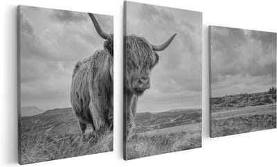 Artaza Canvas Schilderij Drieluik Schotse Hooglander In De Wei - Zwart Wit - 120x60 - Foto Op Canvas - Canvas Print