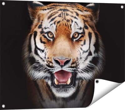 Gards Tuinposter Tijgerkop - Tijger - 80x60 cm - Tuindoek - Tuindecoratie - Wanddecoratie buiten - Tuinschilderij