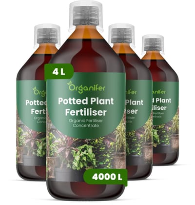 Vloeibare Meststof Voor Potplanten 4X1 L Voor 4000 L - Npk 3-4-3 Ondersteunt Evenwichtige Groei Bij Potplanten - Bevordert Sterke Wortelontwikkeling - Verbetert Bladstevigheid - Kleur En Algehele Plantvitaliteit - Organifer