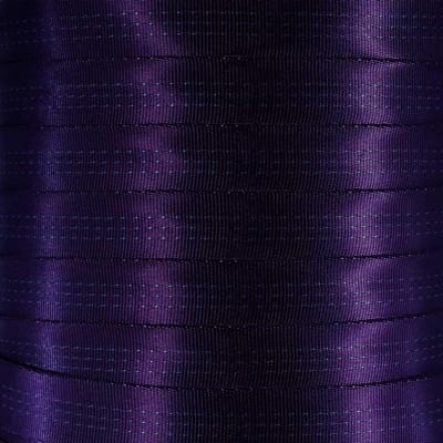 Nylon Singelband - Universele Riem - Klimmen Beveiligen - Hoge Breeksterkte - 1 Inch Breed - Paars