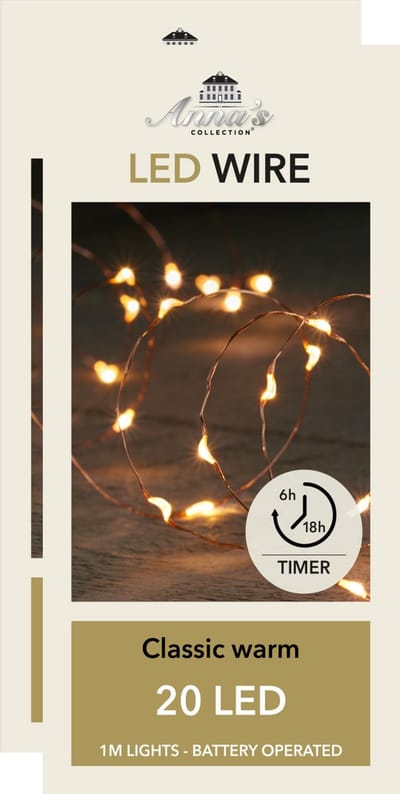 Anna Collection Draadverlichting lichtsnoeren 2x -20 leds - koper warm wit licht -100 cm