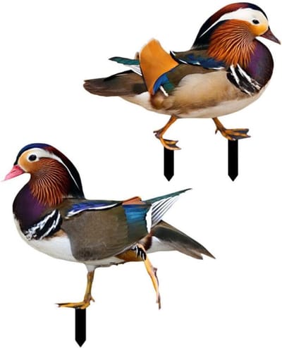 Tuindecoratie Kip - Tuinornamenten - Buiten Decoratie - Levensechte Stijl - 2 Stuks - Gemengde Kleur