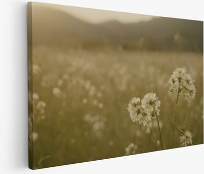 Saammp Muurcirkel Hout - Boeddha bij mooie lucht - Ø 90 - Wandcirkel - Wanddecoratie Cirkel - Muurdecoratie Woonkamer - Muurcirkel Houten