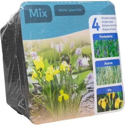 Moerings Droogverpakking Vijverplant Mixmand Met 3 Planten