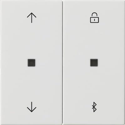 Bedieningselement - Schakelaar - Rolluiken Bediening - Bluetooth Connectie - Systeem 55 - Wit