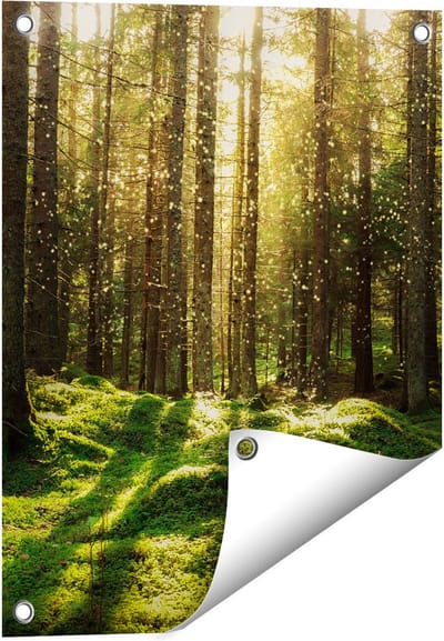 Gards Tuinposter Bos met Groen Mos op de Grond - 40x50 cm - Tuindoek - Tuindecoratie - Wanddecoratie buiten - Tuinschilderij