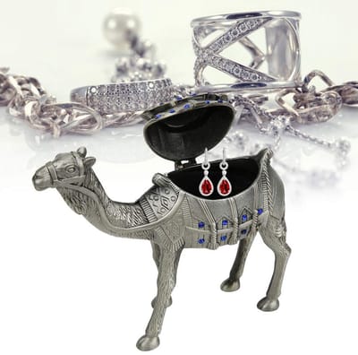 Dailygoody - Sieraden Doos - Handgeschilderd - Vouwbaar - Voor Ringen en Oorbellen - Schattige Kameel - Sieraden Organizer - Ideaal voor Verjaardagsca