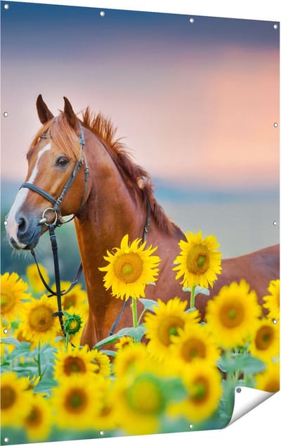 Gards Tuinposter Bruin Paard tussen de Zonnebloemen - 120x160 cm - Tuindoek - Tuindecoratie - Wanddecoratie buiten - Tuinschilderij