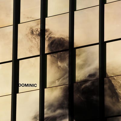 Dominic - Dominic (10" LP)