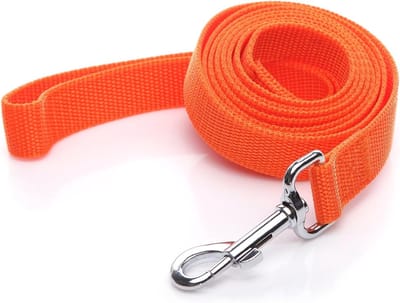 Hondenriem Nylon - Wandelriem Hond - Training en Wandelen - Sterk en Duurzaam - 37 Meter Lang - Oranje