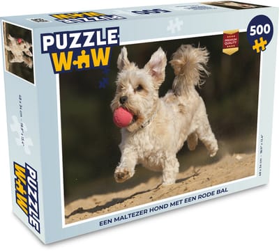 Puzzel Een Maltezer hond met een rode bal - Legpuzzel - Puzzel 500 stukjes