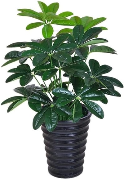Kunstplant Boom - Decoratieve plant - Woondecoratie - Onderhoudsvrij groen - 85 cm - Groen