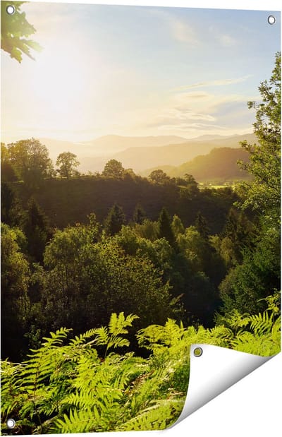 Gards Tuinposter Zonsondergang vanuit een Bos - 60x80 cm - Tuindoek - Tuindecoratie - Wanddecoratie buiten - Tuinschilderij