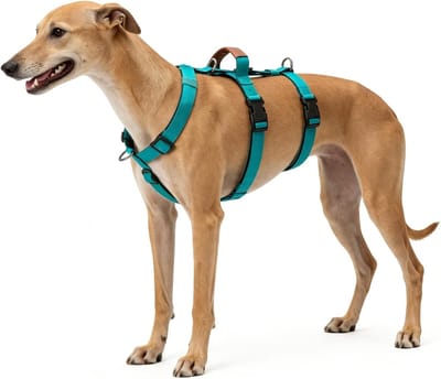 Veilig en Comfortabel Hondentuigje met 3-Punts Anti-Trek Ontwerp, Verstelbaar met Nekklem en Handvat voor Grote Honden, Blauw, XL