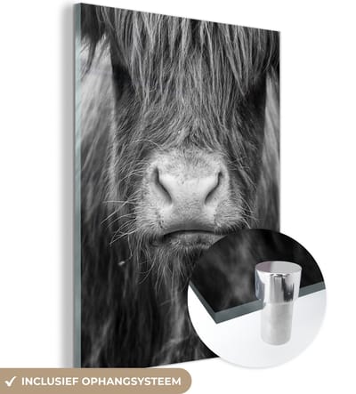 MuchoWow® Glasschilderij 120x160 cm - Schilderij acrylglas - Schotse Hooglander - Haar - Dieren - Foto op glas - Schilderijen