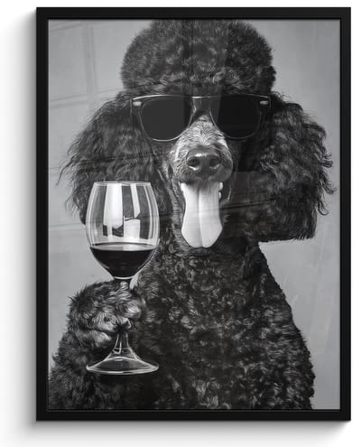 Poster in lijst - Fotolijst 50x70 cm - Posters - Hond - Krullen - Zonnebril - Wijn - Posterlijst zwart - Decoratie - Wanddecoratie woonkamer - Muurdecoratie slaapkamer