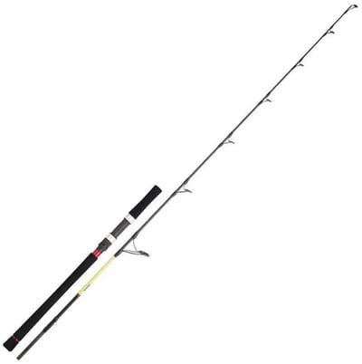 Daiwa Grandwave Casting Os Jigging Hengel Zilver 1.68 m / 100-300 g