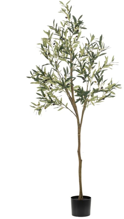 Kunstplant Olive - Groene Nep Plant - Levensecht & Onderhoudsvrij
