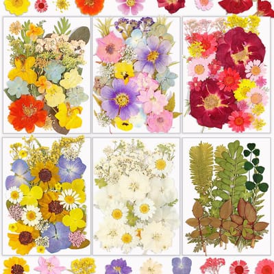 174 stuks geperste bloemen en bladeren kit voor ambachtelijke roze echte natuurlijke droge bloemen, hars zeep en kaars plakboek