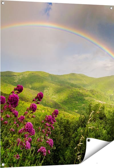 Gards Tuinposter Regenboog in de Heuvel Bossen - 80x100 cm - Tuindoek - Tuindecoratie - Wanddecoratie buiten - Tuinschilderij