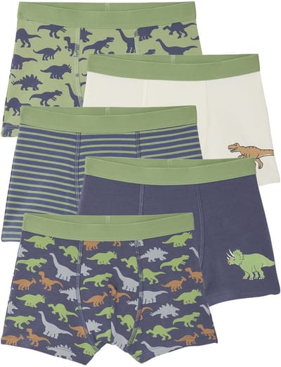Vertbaudet Set van 5 boxershorts voor jongens met dinosaurussen