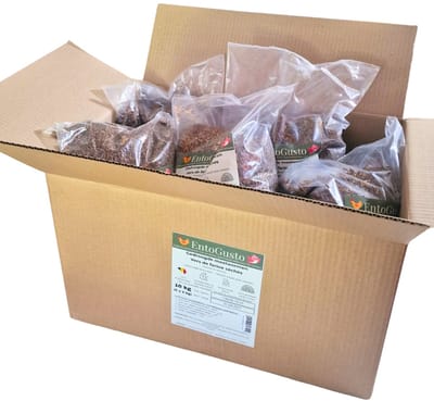 EntoGusto Gedroogde Meelwormen - 10kg (5x2kg Multipack) - Premium Vogelvoer & Kippenvoer - 100% Belgisch - Eiwitrijk