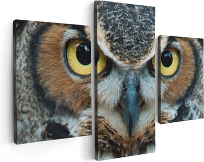 Artaza Canvas Schilderij Drieluik Uil Kop Met Gouden Ogen  - 90x60 - Foto Op Canvas - Canvas Print