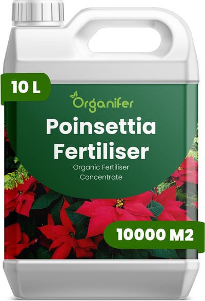Vloeibare Meststof Voor Poinsettia 10 L Voor 10000 M2 - Npk 2-1-8 - Verbetert Bladkwaliteit En Het Algehele Visuele Evenwicht - Bevordert Compacte Groei En Een Sterke Plantstructuur - Ondersteunt Intense Schutbladkleur - Organifer