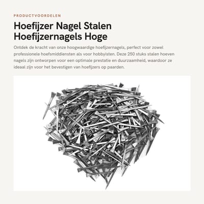 Dailygoods- Hoefijzer Nagel 250 Stuks - Stalen Hoefijzernagels - RVS Hoefijzernagels - Hoge Treksterkte - Nauwkeurige Fabricage - Duurzaam Gereedschap - Paardenhoefnagel