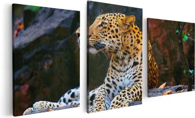 Artaza Canvas Schilderij Drieluik Luipaard Op De Rotsen - 120x60 - Foto Op Canvas - Canvas Print