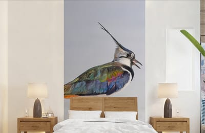 Behang - Fotobehang Vogel - Dieren - Zand - Kievit - Breedte 120 cm x hoogte 240 cm