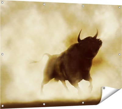 Gards Tuinposter Zwarte Stier in het Stoffige Rook - 120x90 cm - Tuindoek - Tuindecoratie - Wanddecoratie buiten - Tuinschilderij