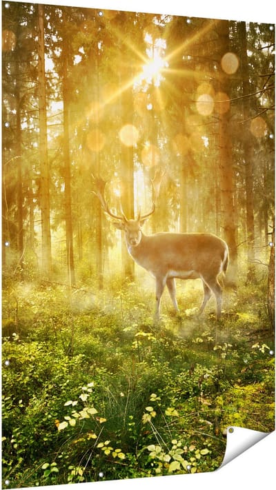 Gards Tuinposter Hert in Bos met Zon - 120x180 cm - Tuindoek - Tuindecoratie - Wanddecoratie buiten - Tuinschilderij