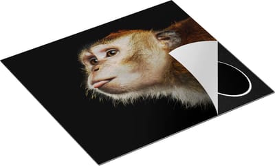 Chefcare Inductie Beschermer Apenkop met Zijn Tong uit - Aap - 60x50 cm - Afdekplaat Inductie - Kookplaat Beschermer - Inductie Mat