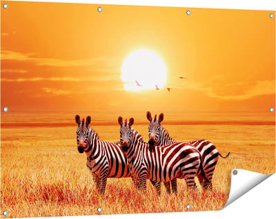 Gards Tuinposter Drie Zebra's bij Zonsondergang - 120x80 cm - Tuindoek - Tuindecoratie - Wanddecoratie buiten - Tuinschilderij