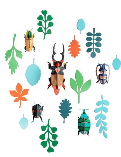 Studio Roof - Beetle antiquary- Wall of curiosities