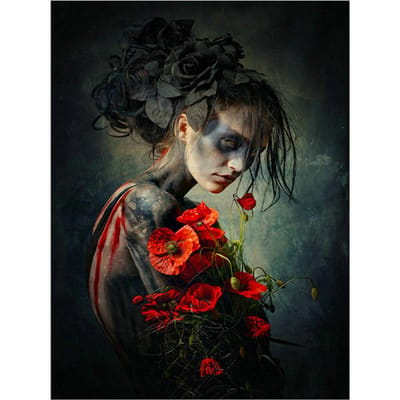 Bricolage diamant broderie femme et fleur photo 5d bricolage diamant peinture point de croix 20X30CM gray